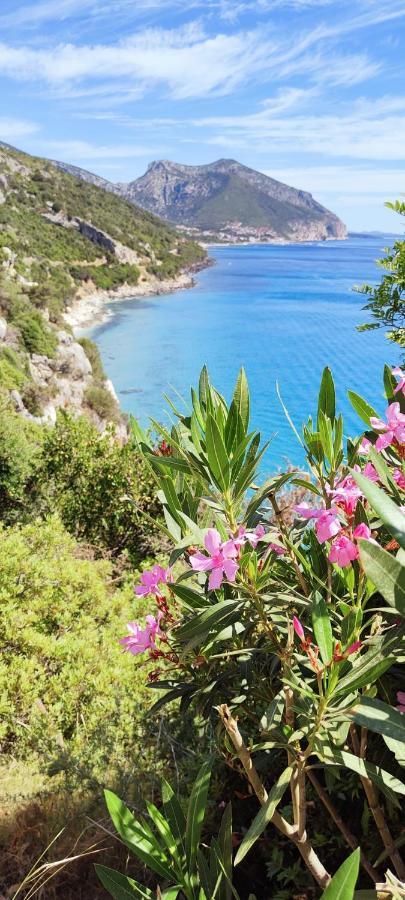 Casa Calaluna Διαμέρισμα Cala Gonone Εξωτερικό φωτογραφία