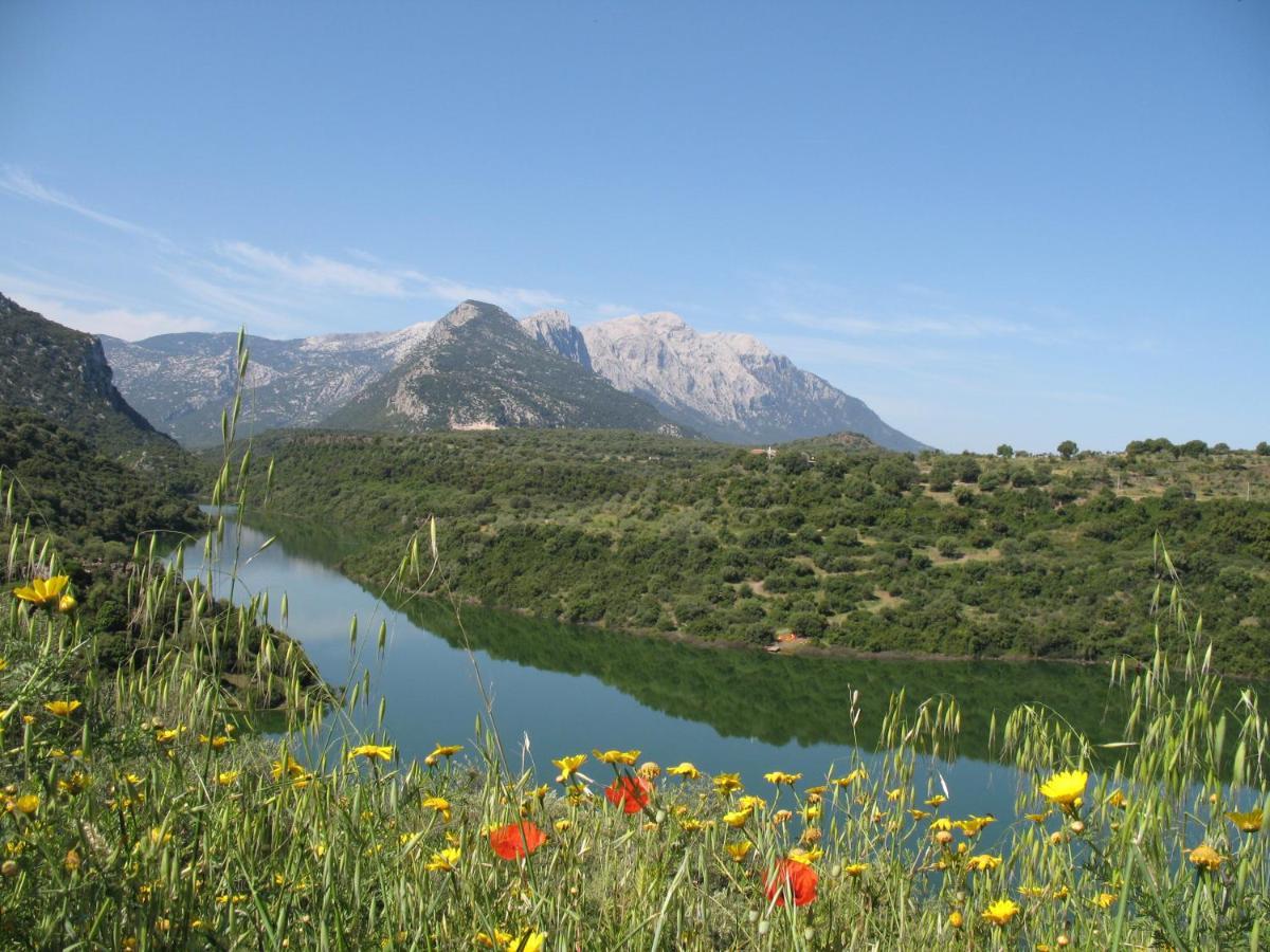 Casa Calaluna Διαμέρισμα Cala Gonone Εξωτερικό φωτογραφία